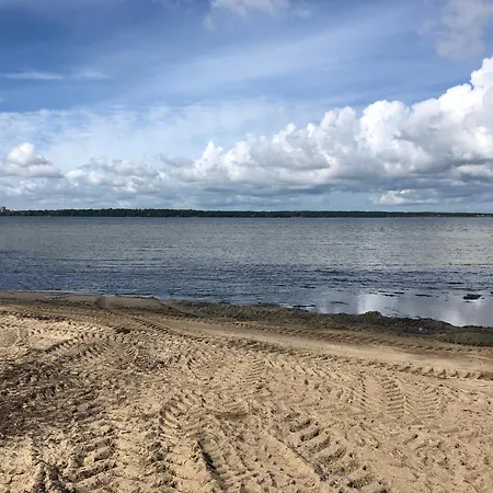 Ocean & טאלין